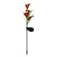 Decorative Garden Solar Lily Lights