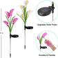 Decorative Garden Solar Lily Lights