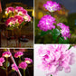 Solar Hydrangea Flower Lamp